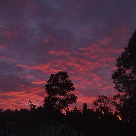 Tapian Ratu Camp Real Bukittinggi Zewnętrze zdjęcie